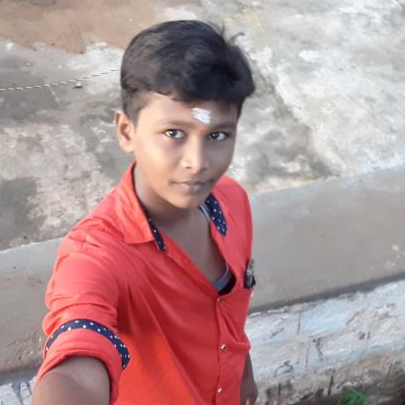 P.Hriraj Palani Selva Kumar