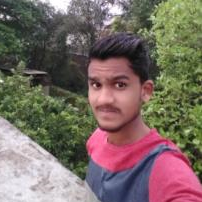 Sachin Subhash Ghungarrao