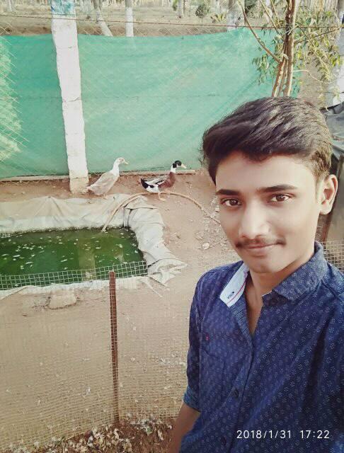 Razeen C