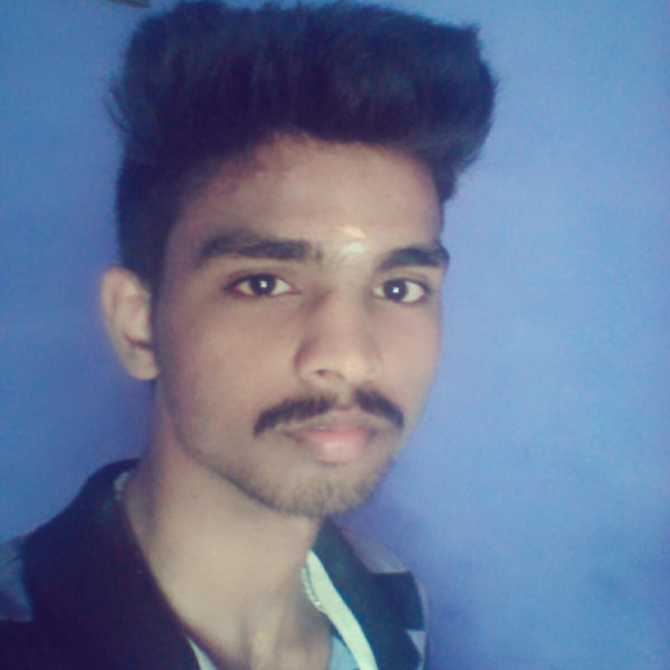 Vinoth Raj S
