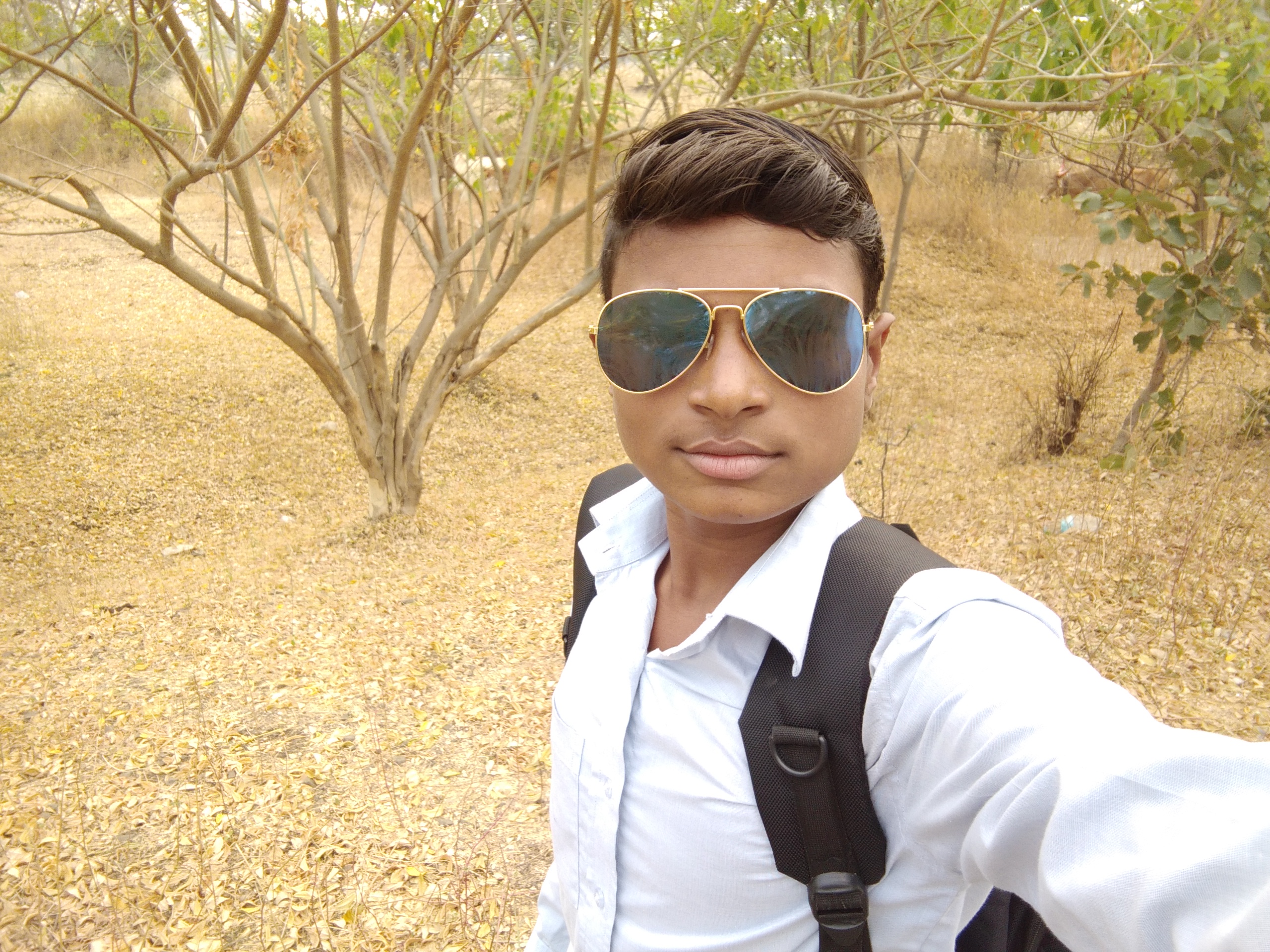 Dhammpal Yashwant Sawale