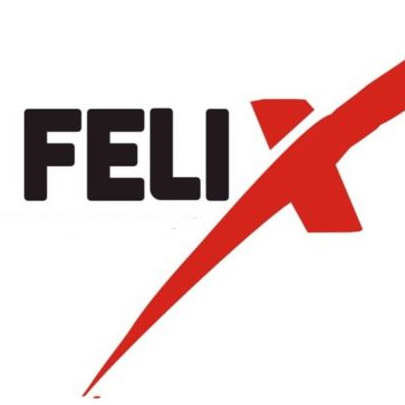 Felix Mathew