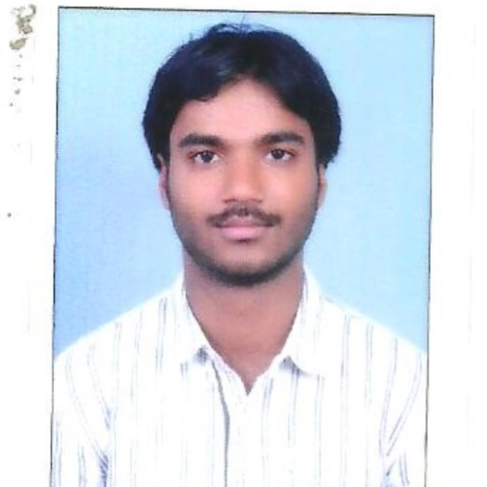 Gokul Reddy P
