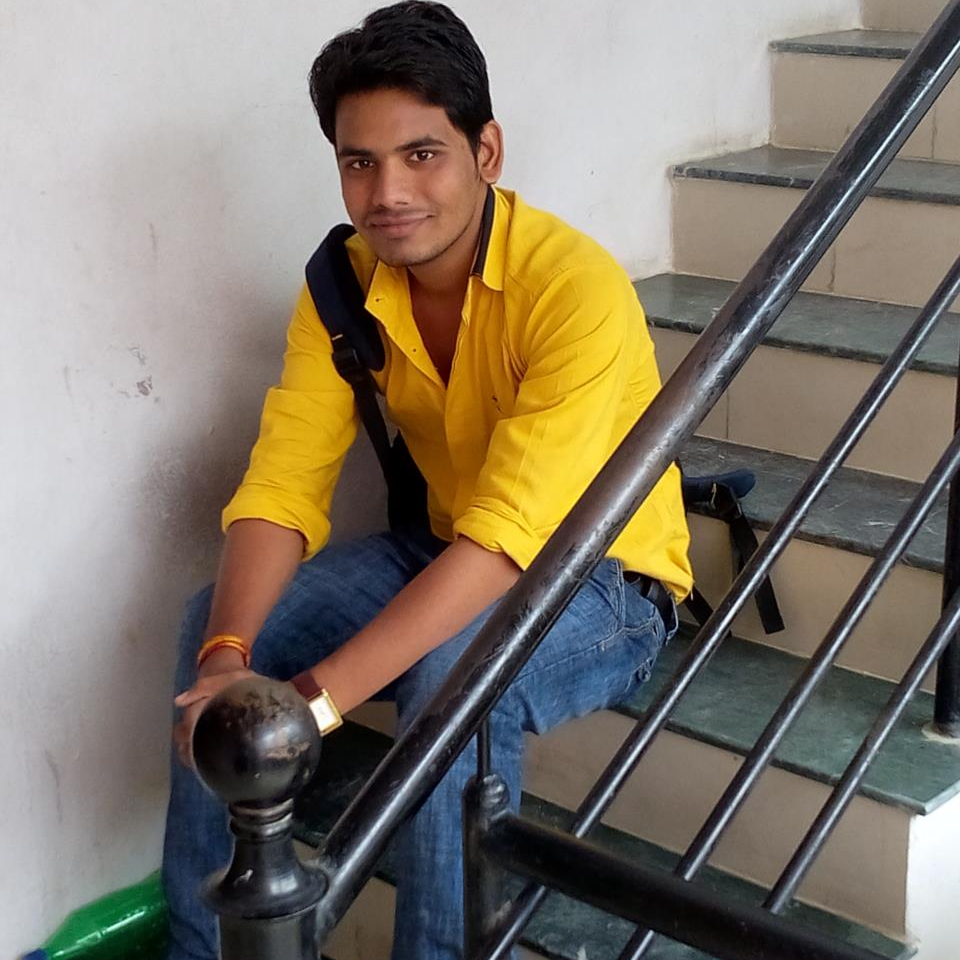 Vikash Sanwle
