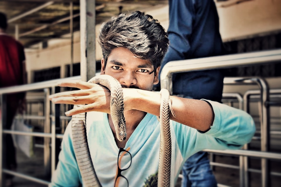 Chandrashekhar Nikunj