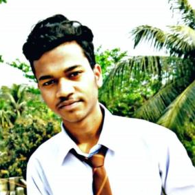Animesh Sarkar