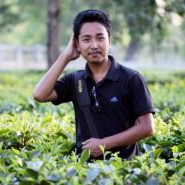 Dawharu Boro
