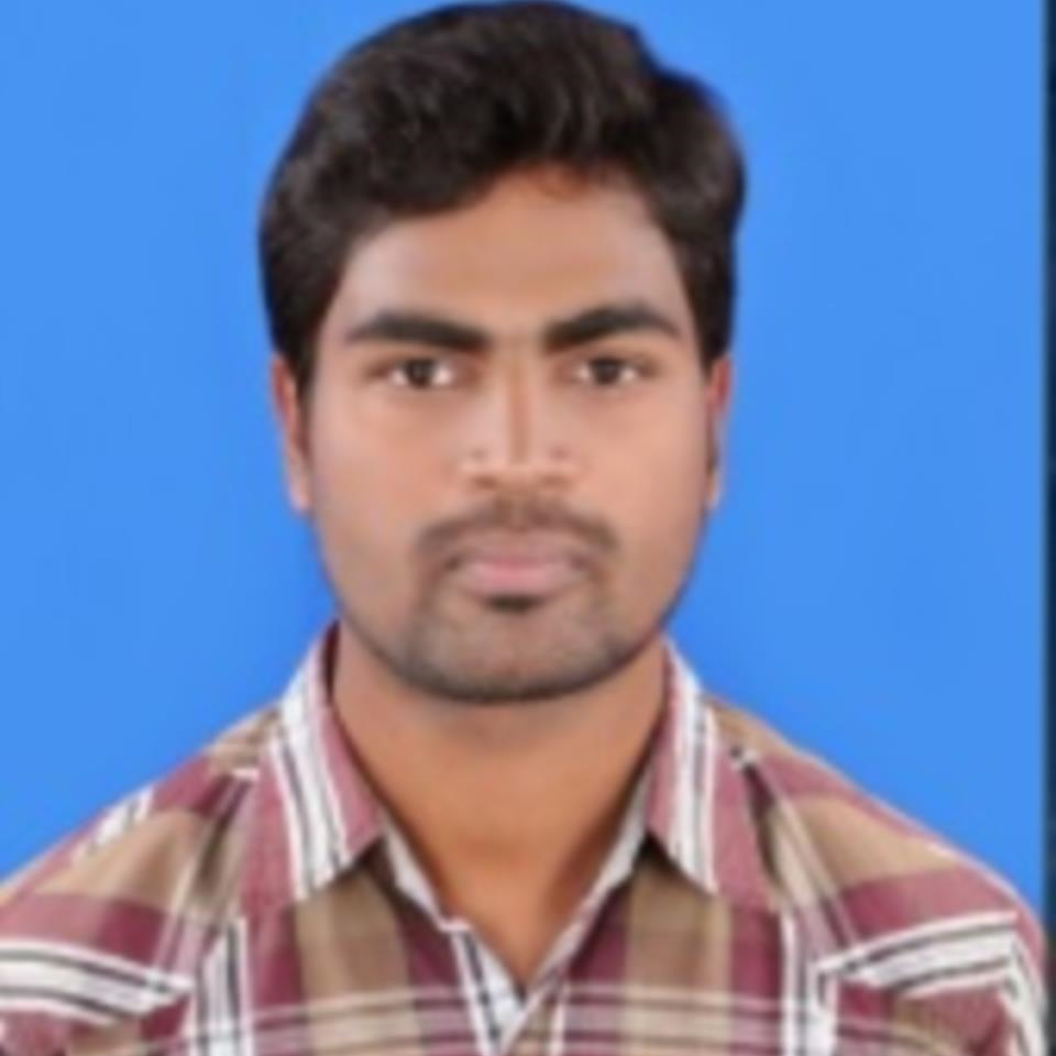 Ananda Raj P
