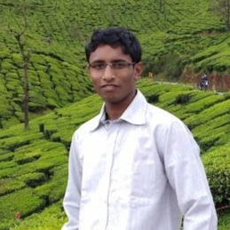 Nishant Banginwar