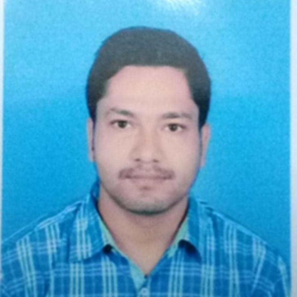 Krishanu Majumder