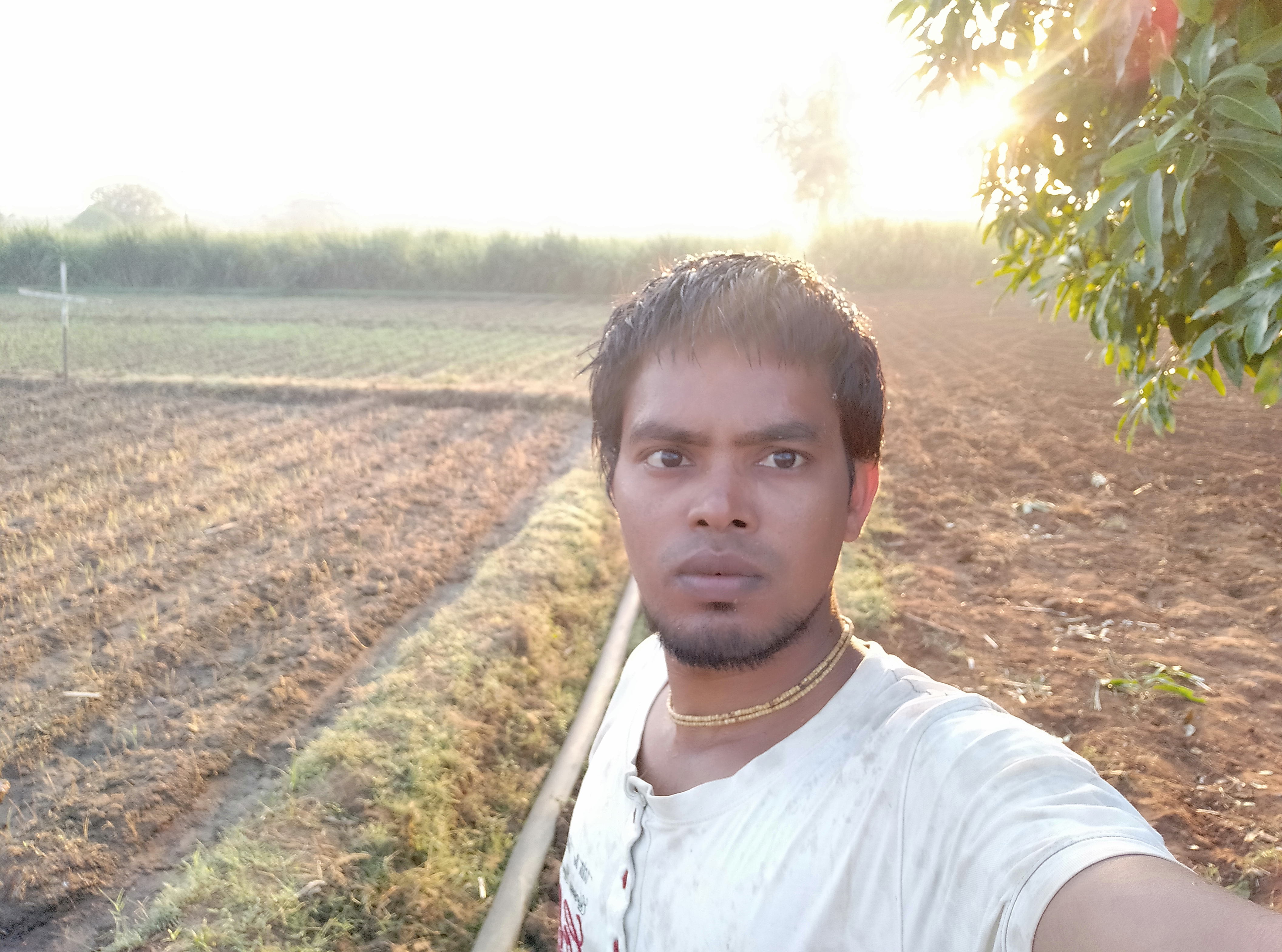 Sivaraman K