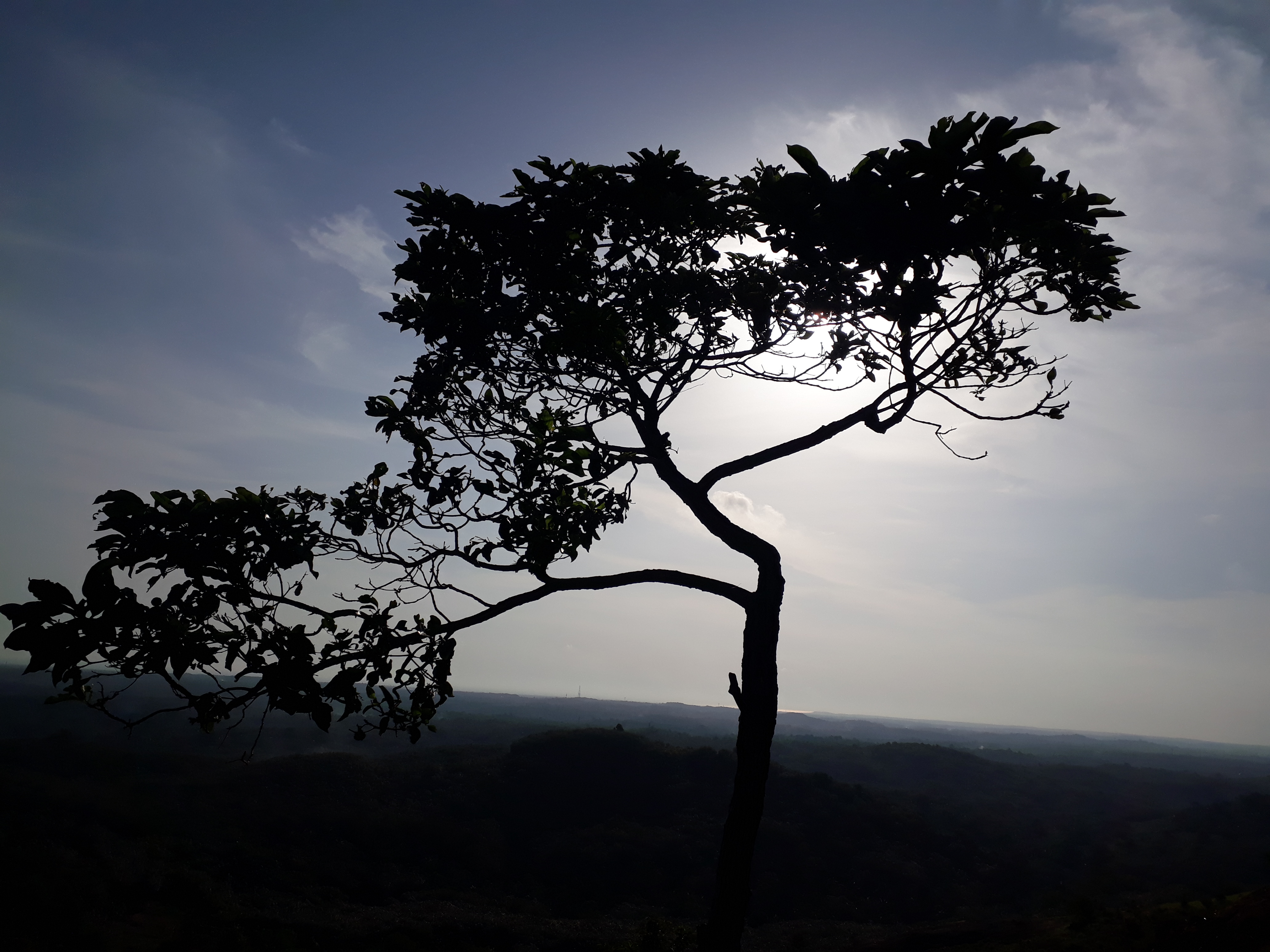 Nandana A