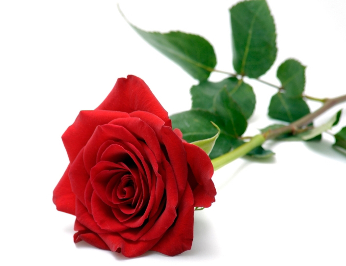 Navya Deepthi