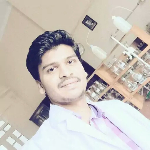 Mahesh D K