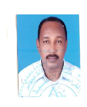 Tarig Hassan Osman Ali