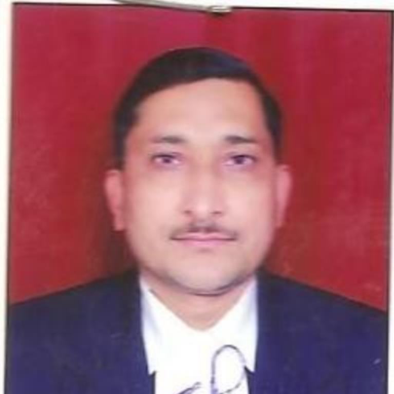 user profile
