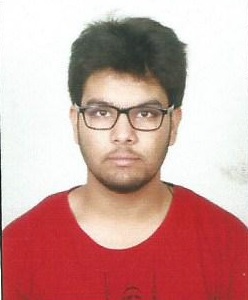 Hitesh Bhatia