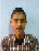 Prasad Ray