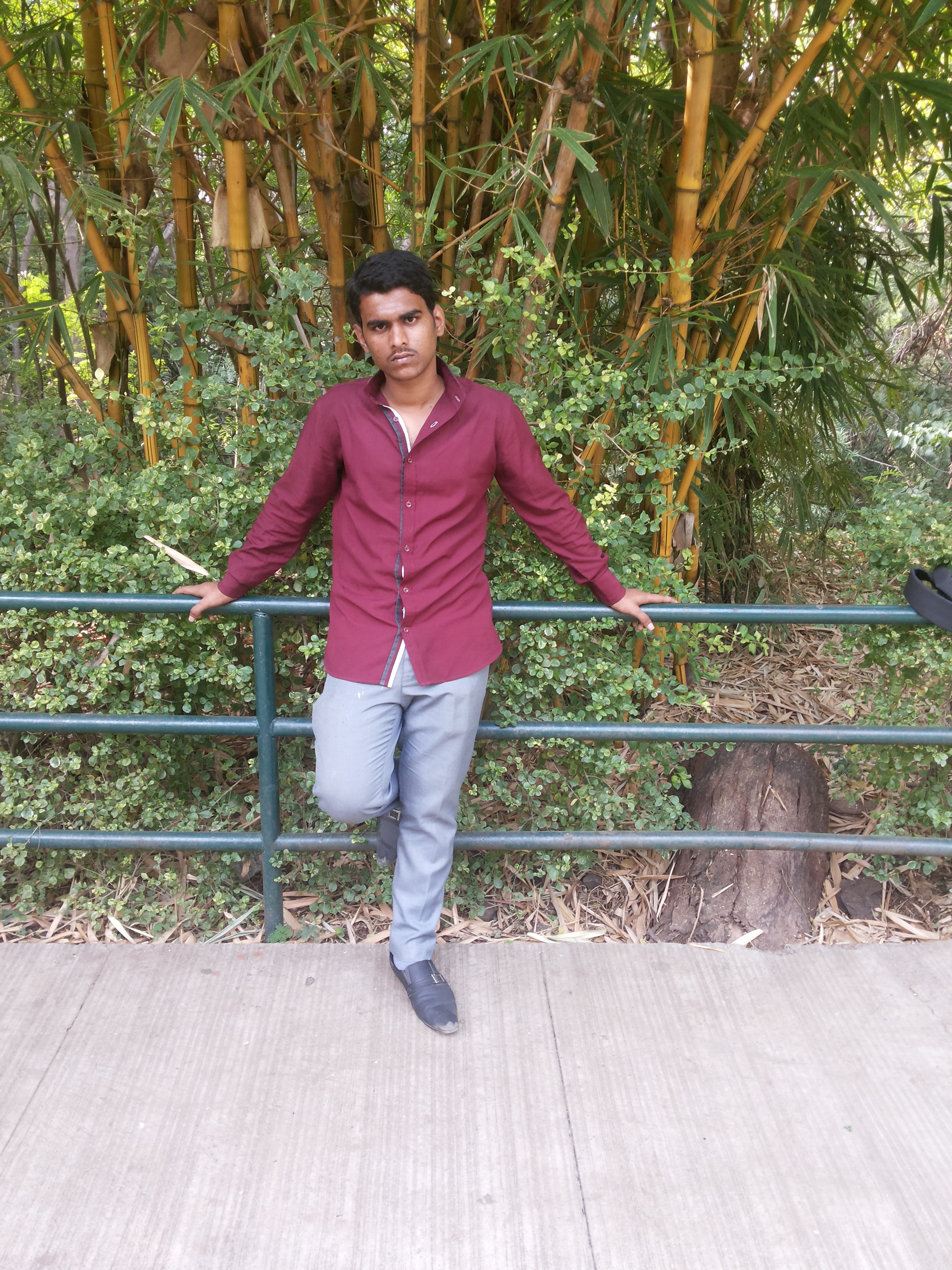 Arif Shaikh