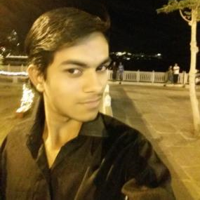 Mridul Agarwal