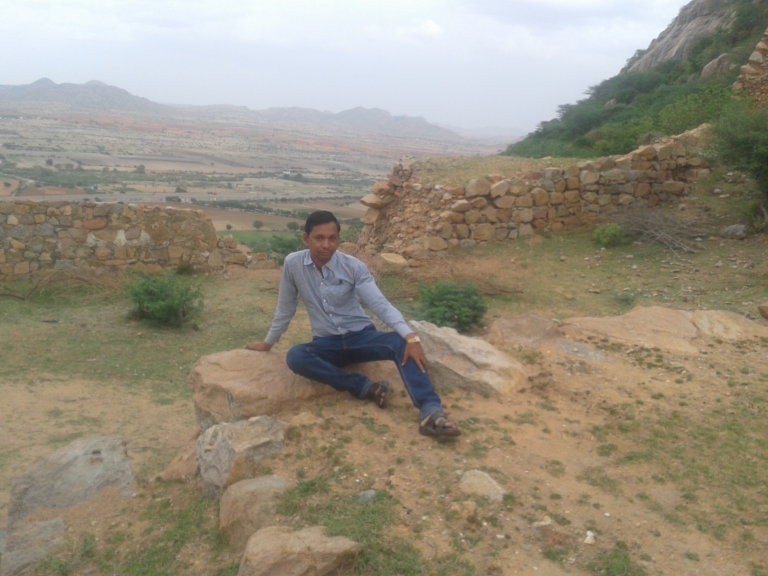 Anil M Bhole