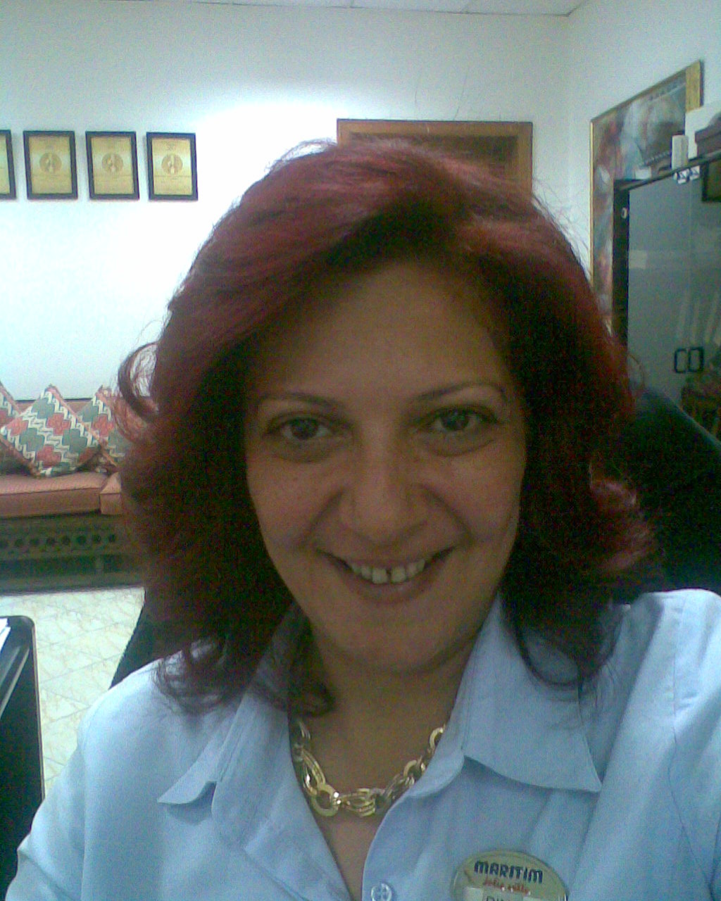 Dina Abdel Salam