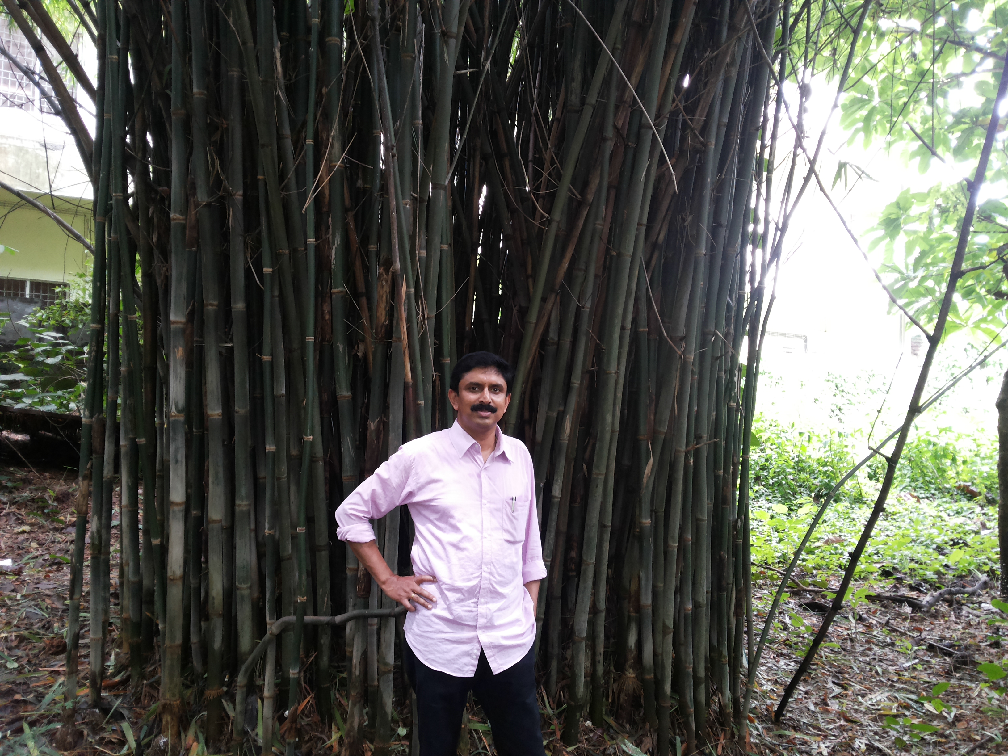 T S Salikumar