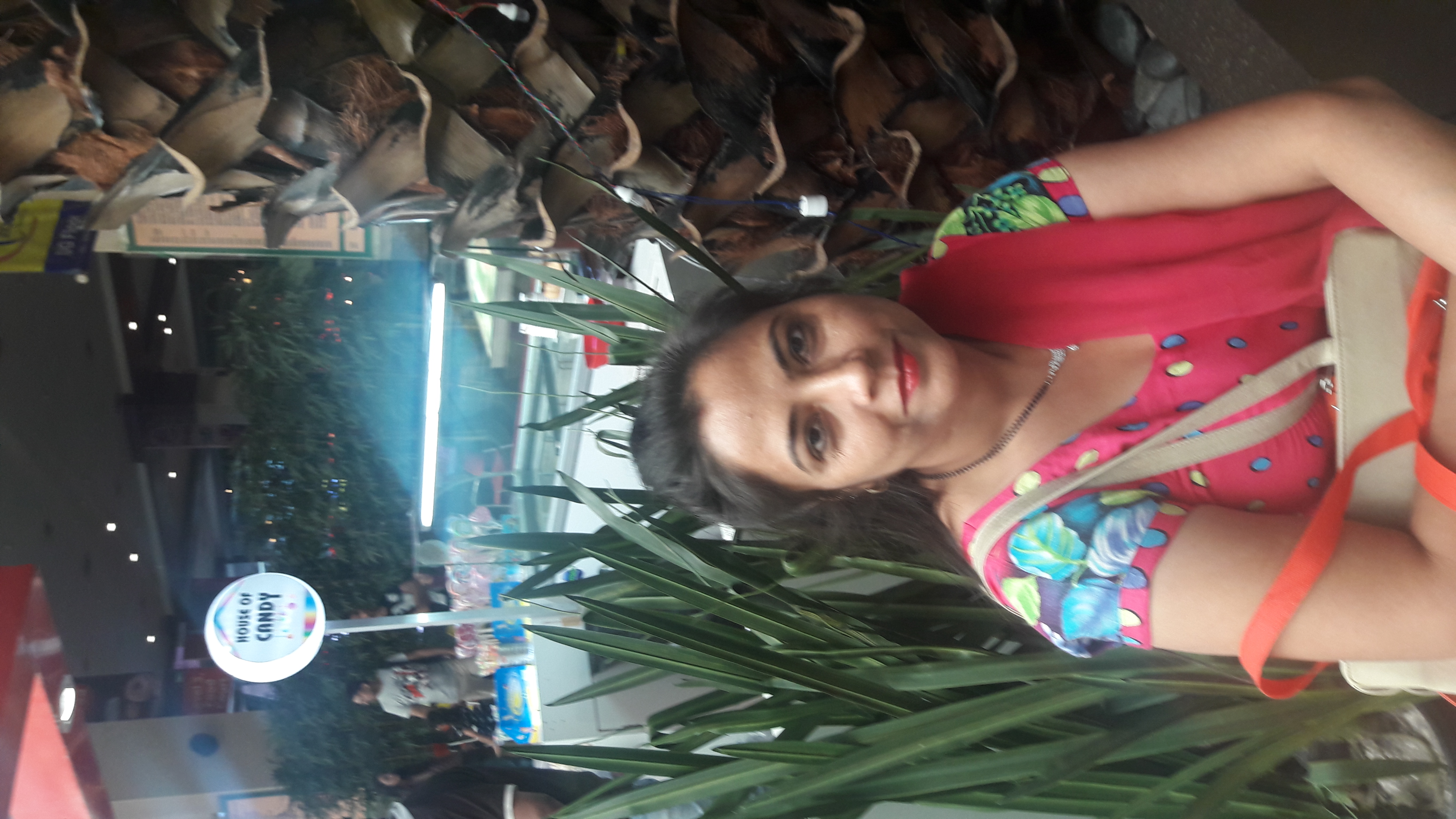 Bhagat Ram Bedi