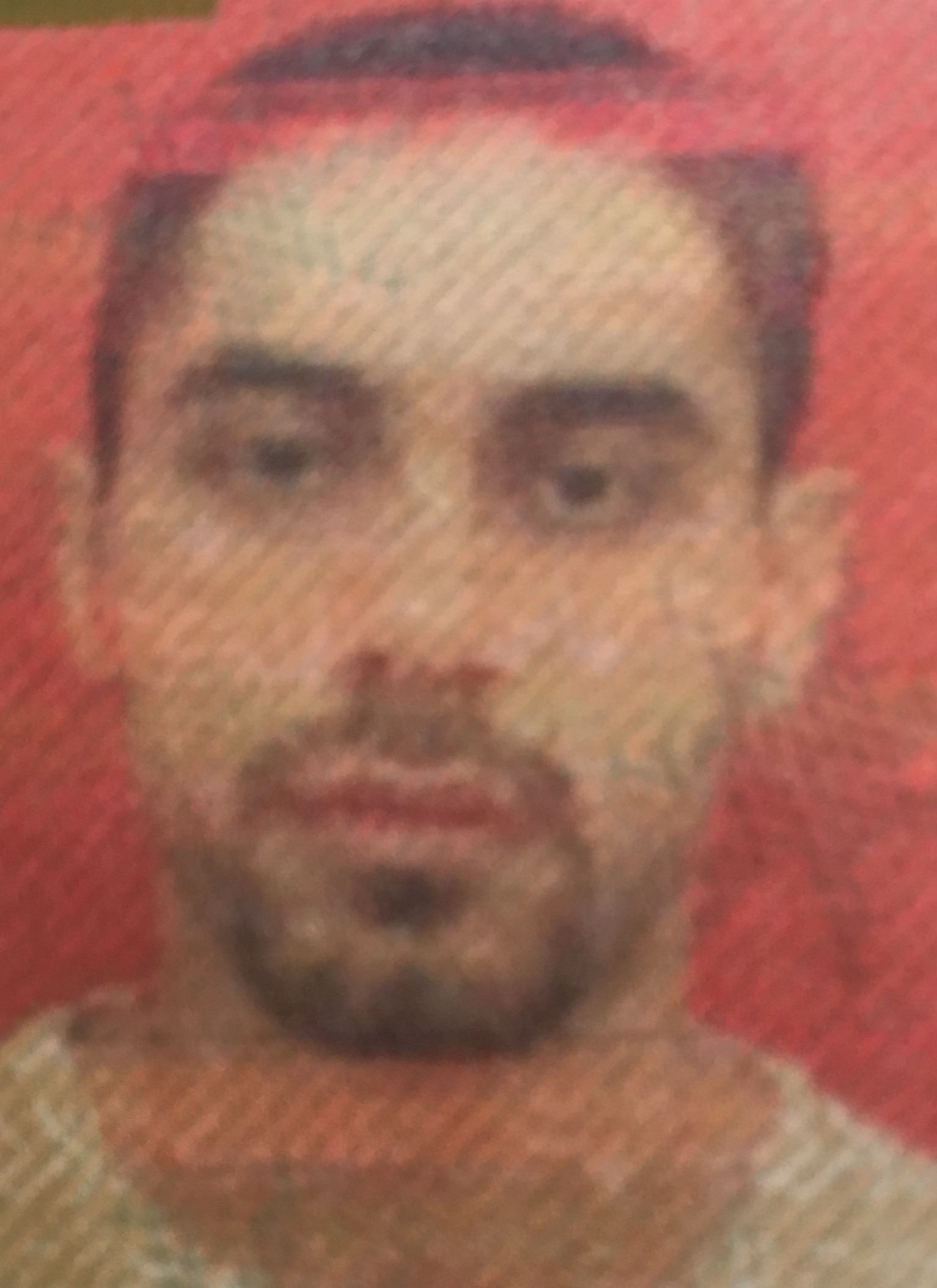 Mahmoud Fariez