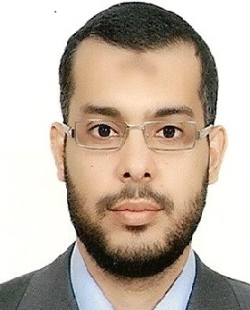 Mohamed Ahmed Mohamed Harb