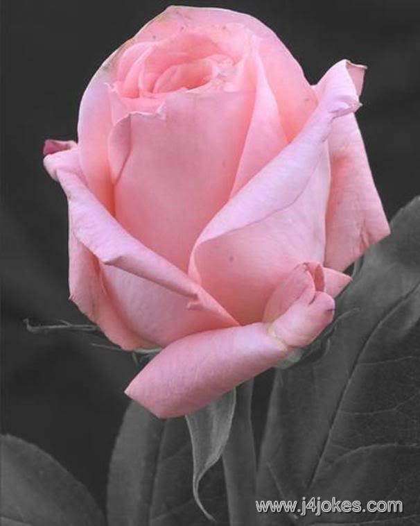 Deepak Kumar Thakur
