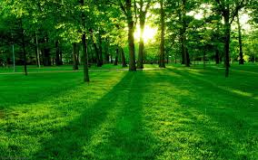 The new hope with each day 