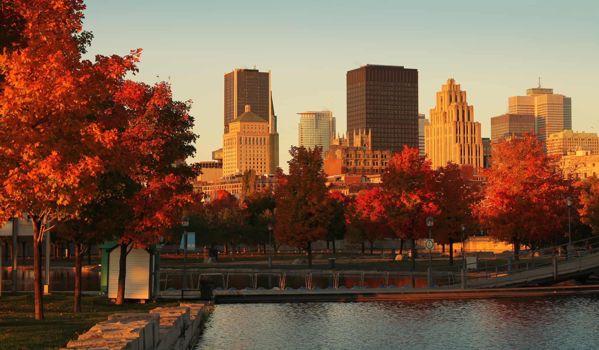 WES India || Express Entry: Canada holds major draw inviting 5,956 immigration candidates.