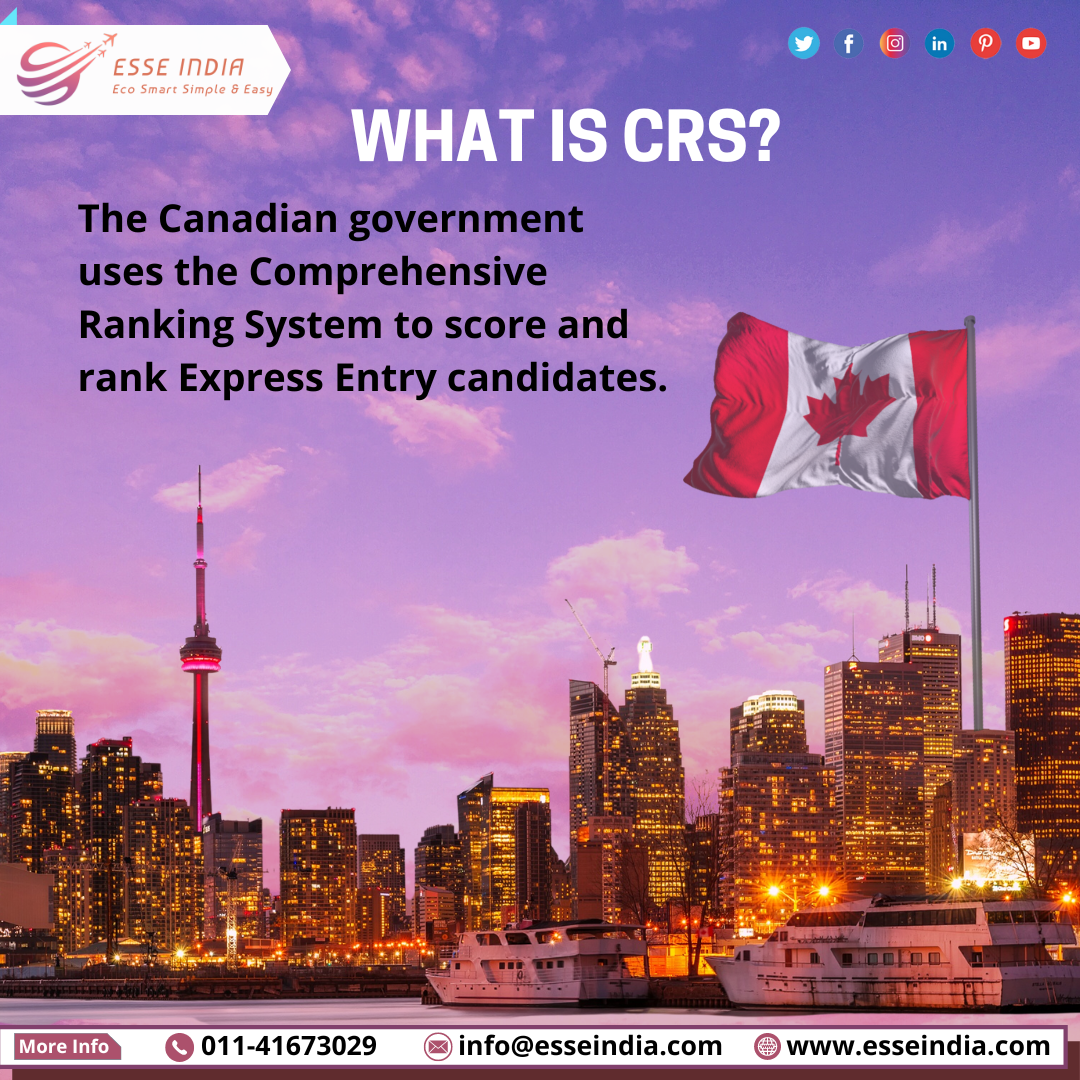 What is the Comprehensive Ranking System?