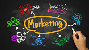 Business Development and Marketing 2016-17